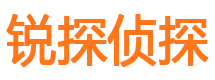 武川出轨调查